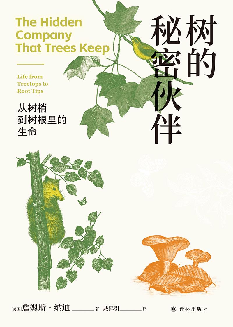 “天际线”丛书~树的秘密伙伴：从树梢到树根里的生命