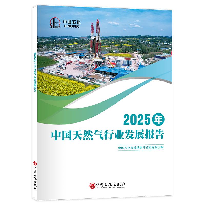 2025年中国天然气行业发展报告