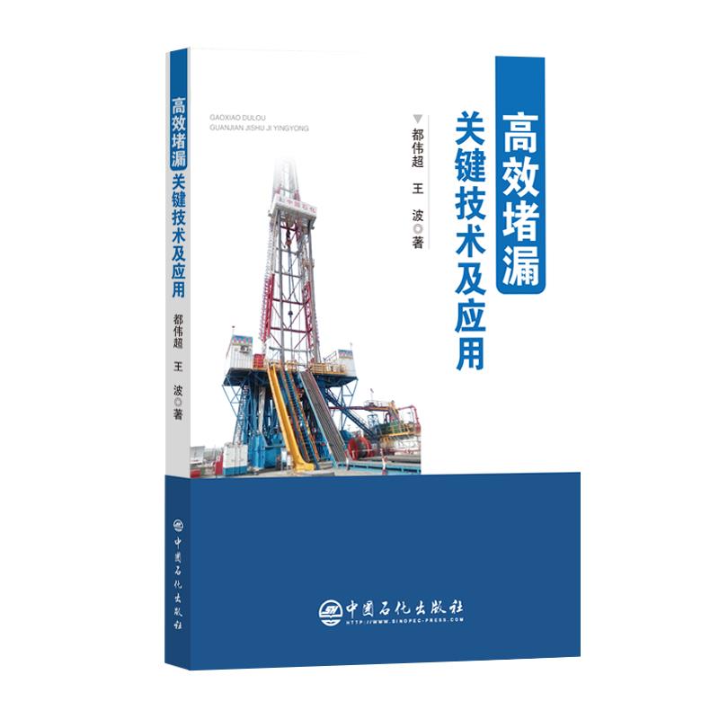 高效堵漏关键技术及应用