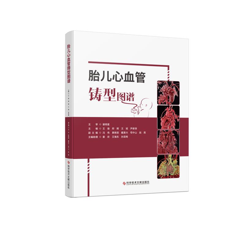 胎儿心血管铸型图谱