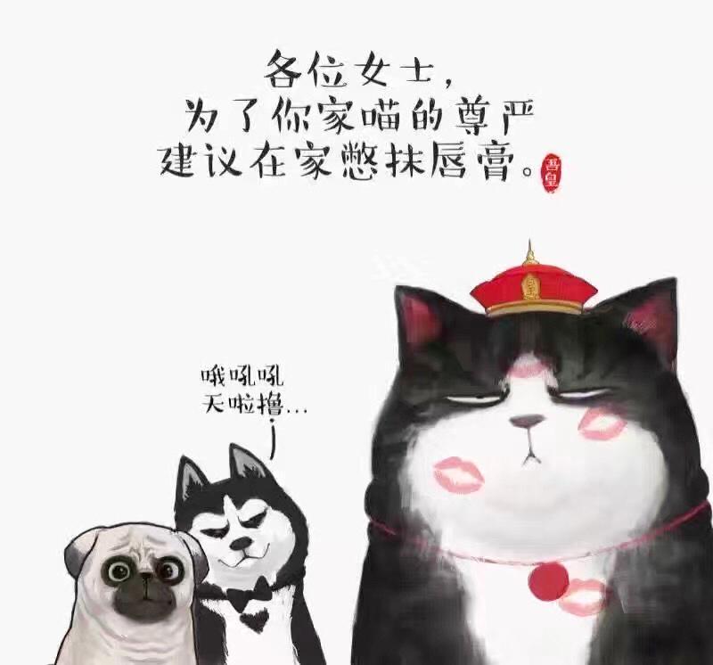 就喜欢你看不惯我又干不掉我的样子